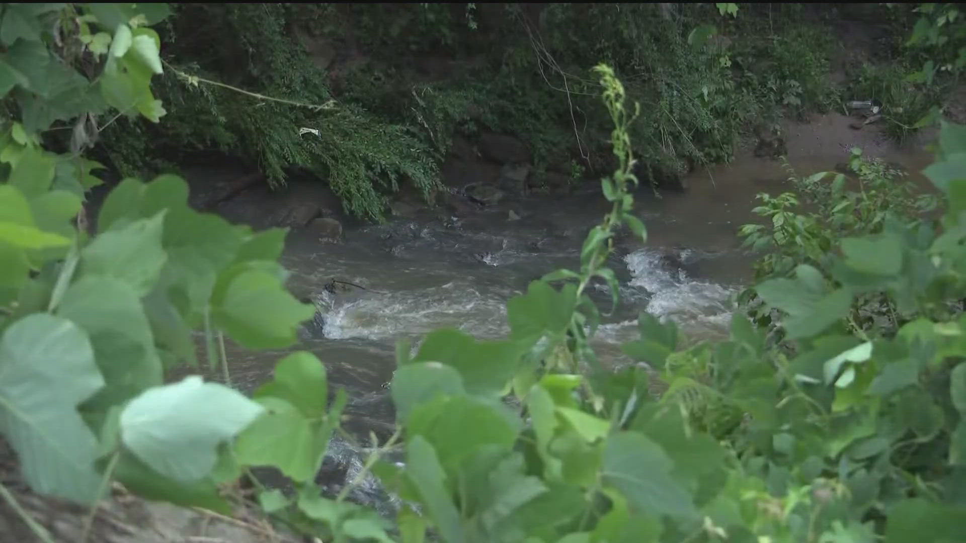 The South River bears the brunt when a sewage treatment plant fails to fully treat its sewage. The EPD's documentd  154 spills of raw sewage in a 16-month period.