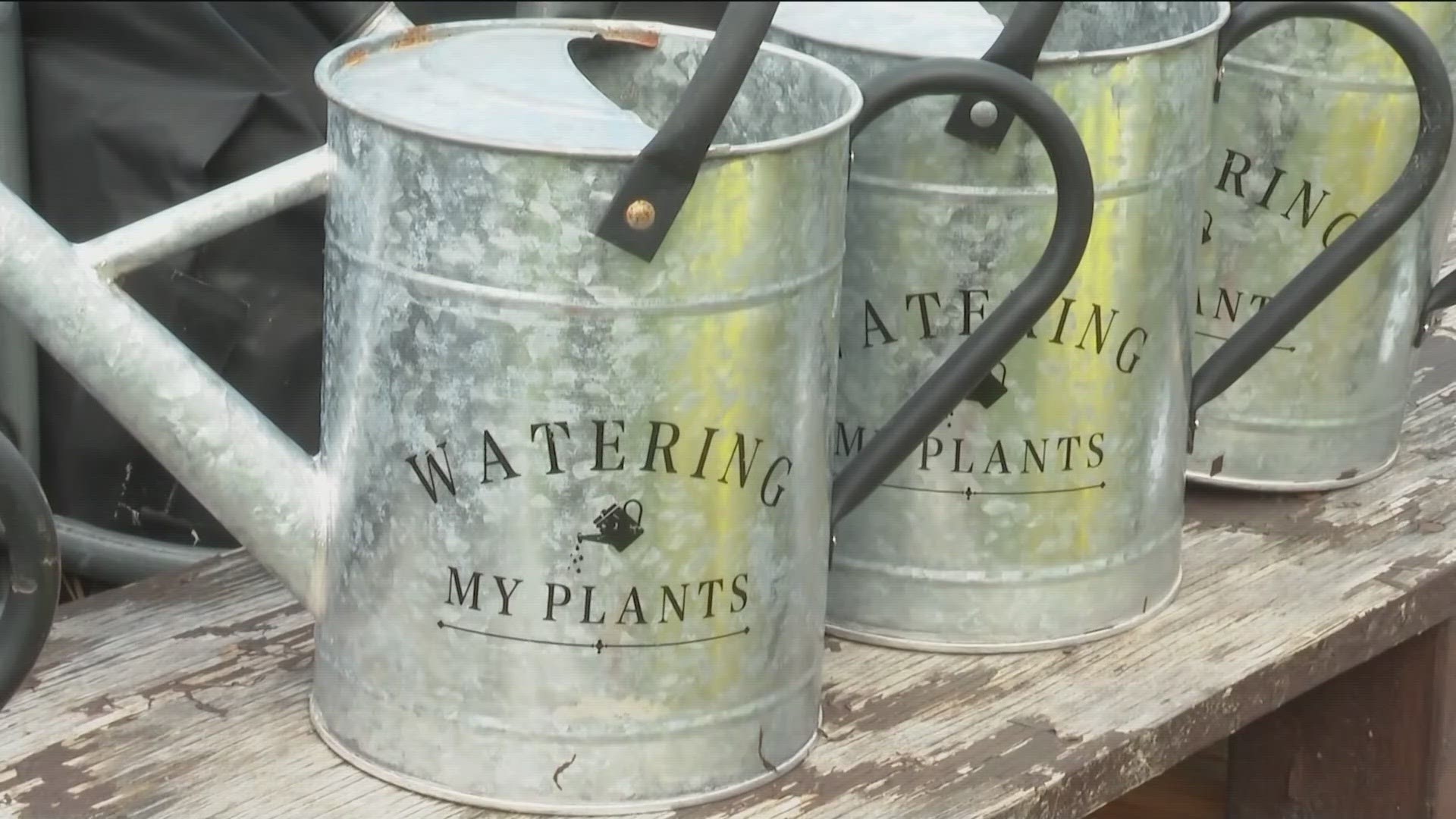 The Food Well Alliance program has collaborated with the gardeners at the Stone Mountain Community Garden for their "Plant a Row" event.