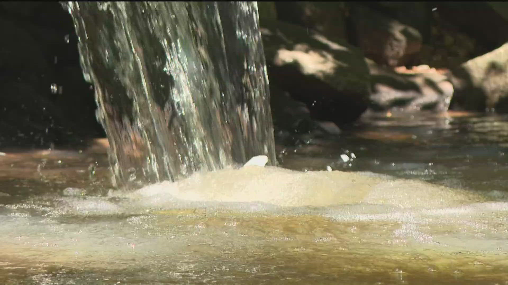 "Thousands" of fish were killed after a spill of chicken sludge.
