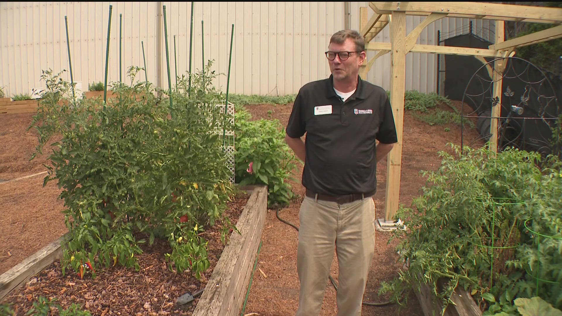 When they go weeks without rain, it's "an extremely large volume of water" the area misses out on.