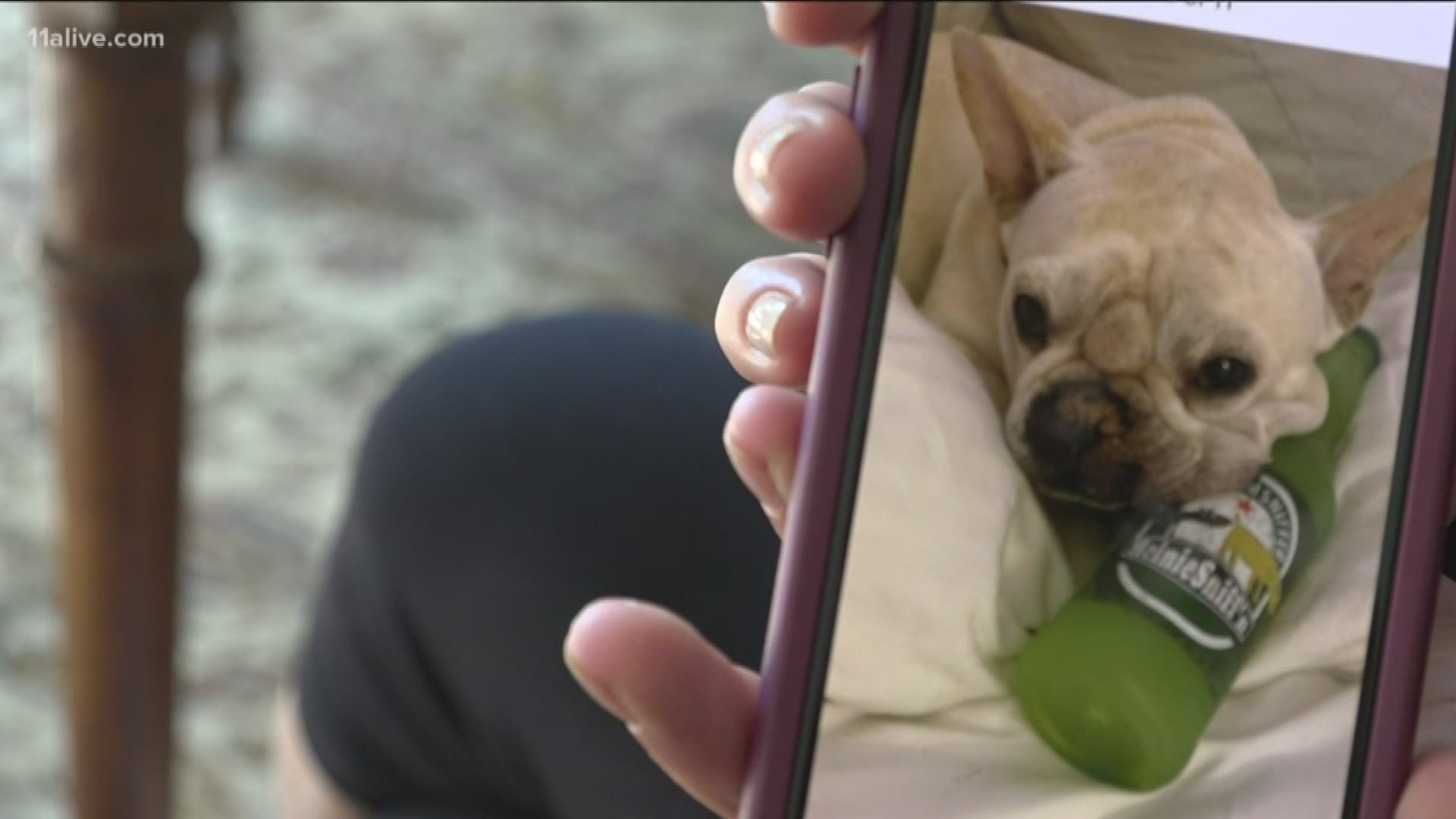 The owner was in the store for four minutes and when she came out -- her dog was gone.