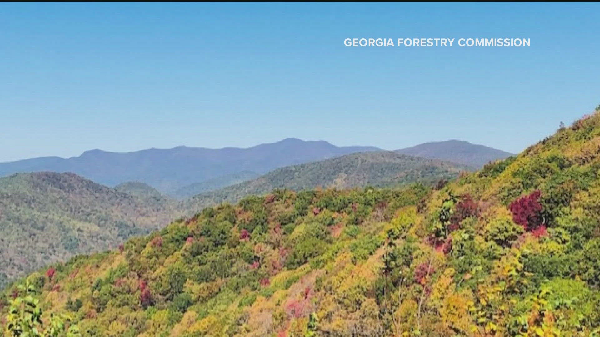 Ongoing drought delays, dulls peak of fall foliage in parts of north ...