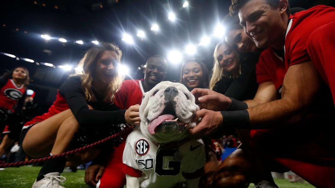 Georgia Football Has a New Mascot in UGA - Sports Illustrated Georgia  Bulldogs News, Analysis and More