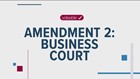 What the business court amendment means