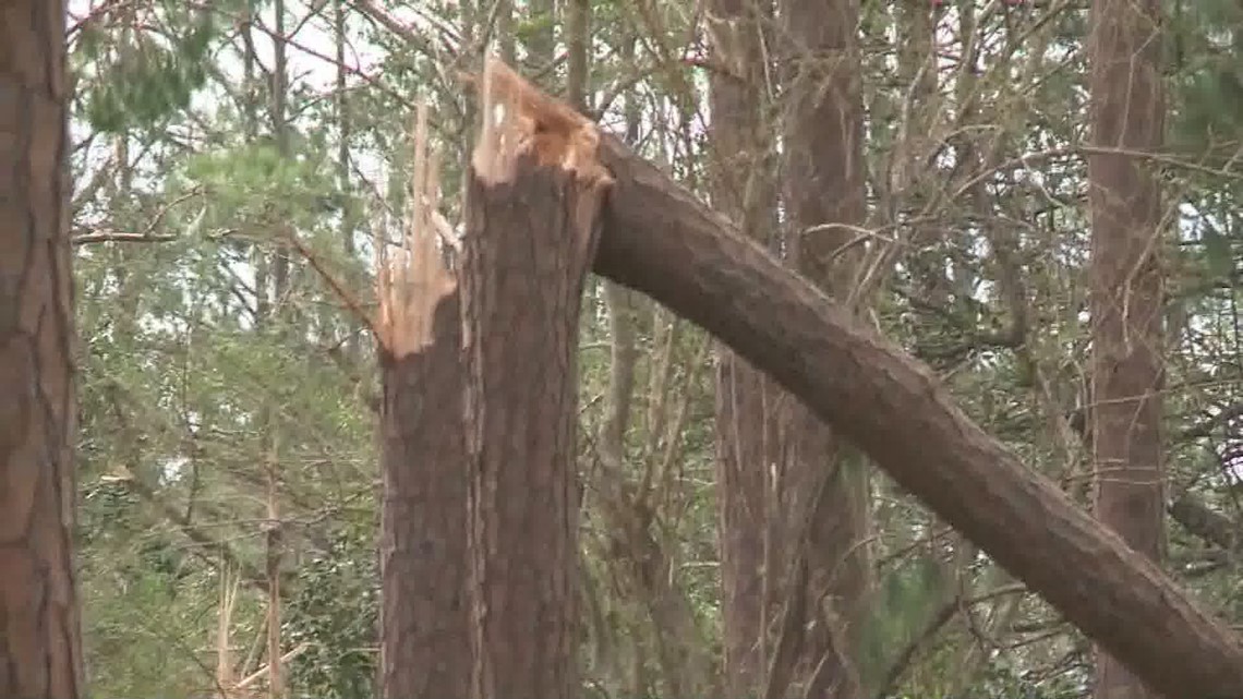 Michael: Video shows damaged homes, downed trees in 