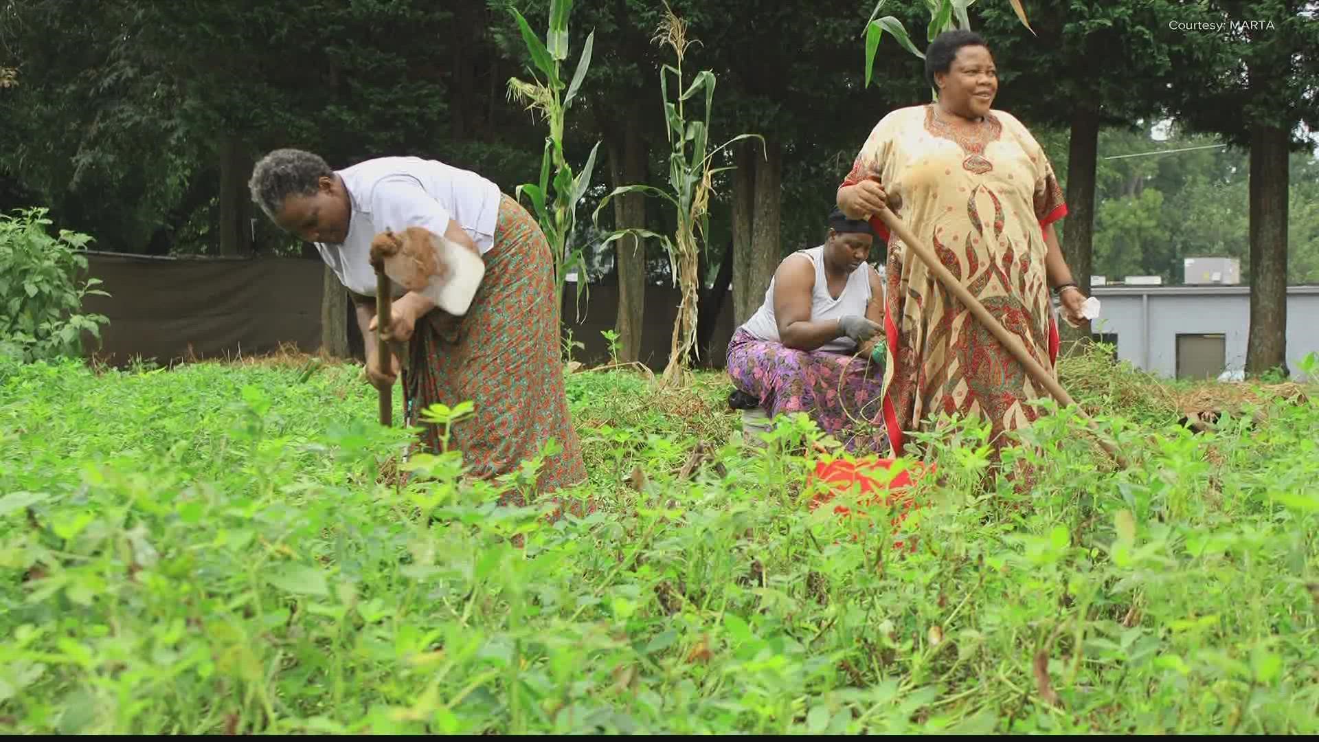 MARTA plans to build a farm near their Indian Creek rail station in DeKalb County to support local farmers.