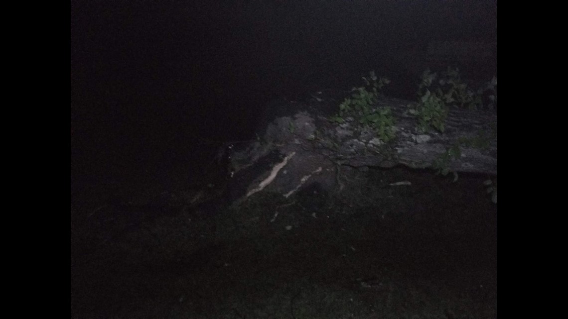 Trees down on Cherokee County roads