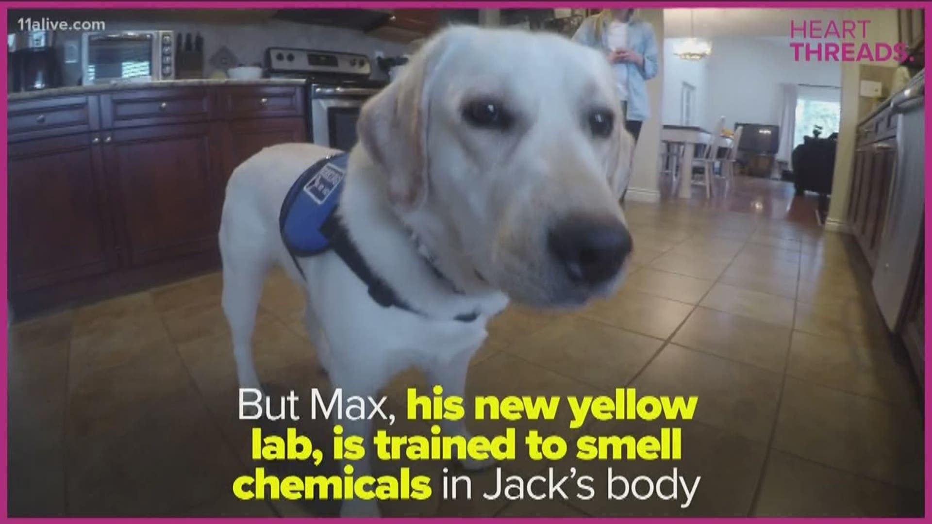 Jack's family didn't think they would be able to raise the $15,000 to get the dog.