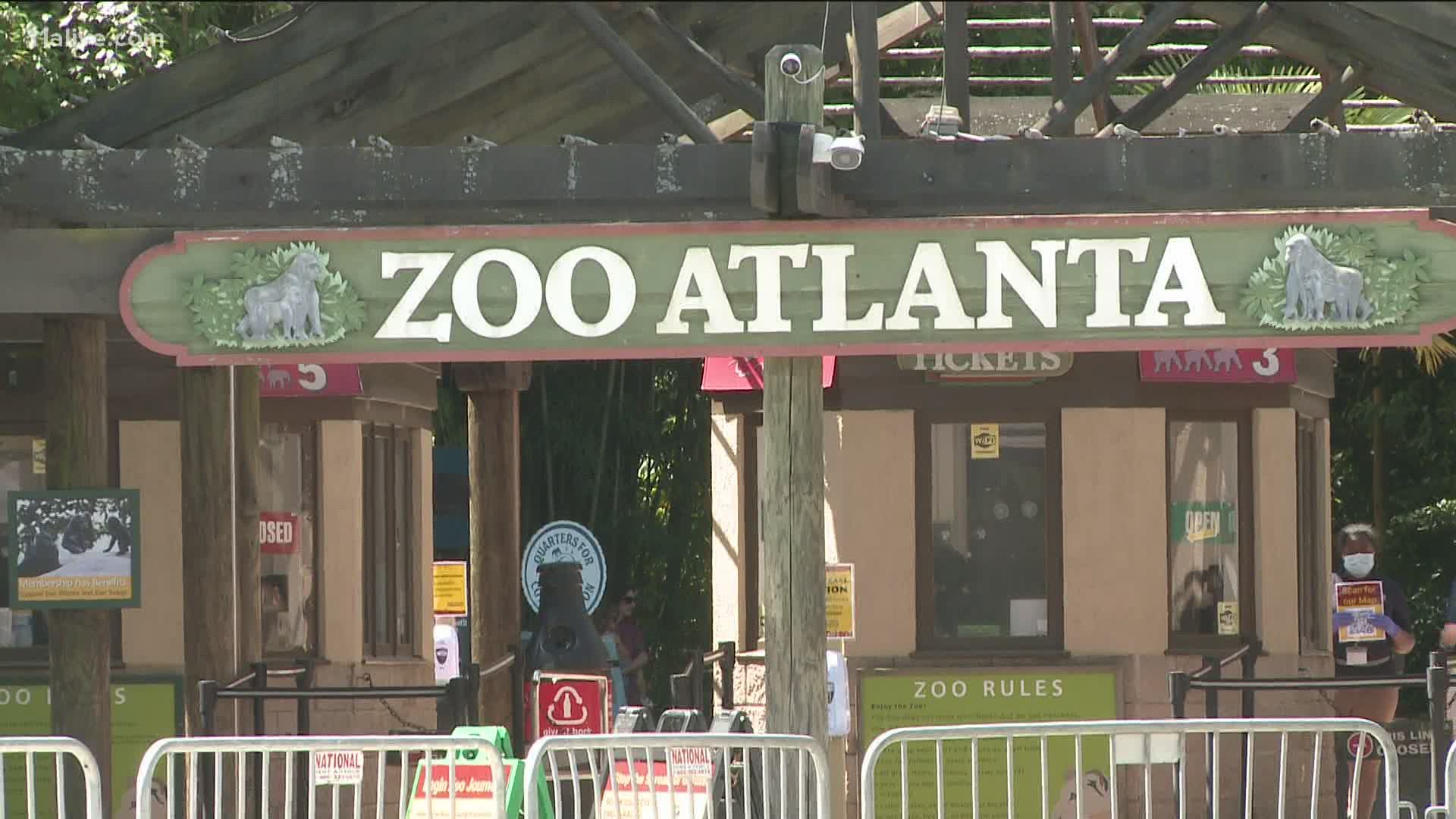 After being closed for months, the zoo reopened to the public amid the coronavirus pandemic.