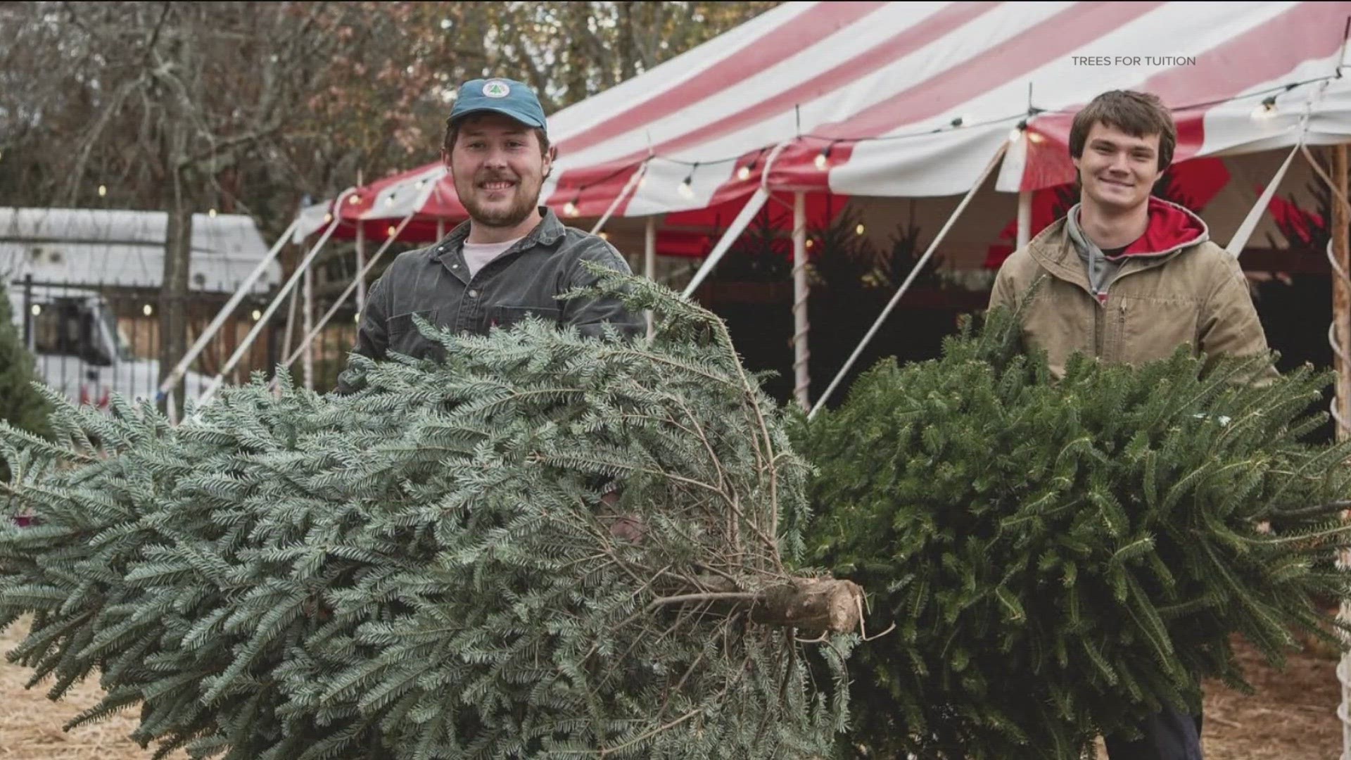 Calder and Jack first started Trees for Tuition in 2015.