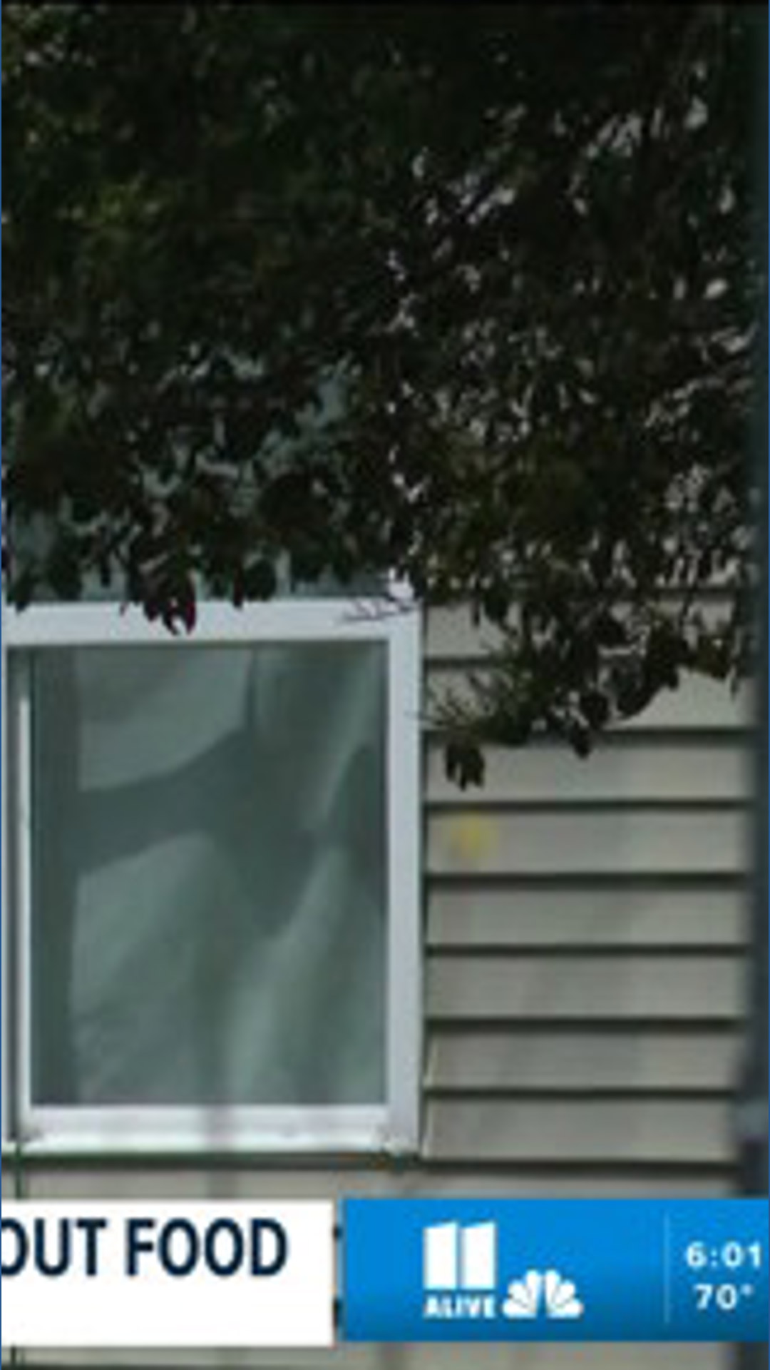 Woman accused of leaving 6 children home alone without food in ...