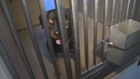 Investigation Into Puppy Mill Laws In Pennsylvania And Georgia ...