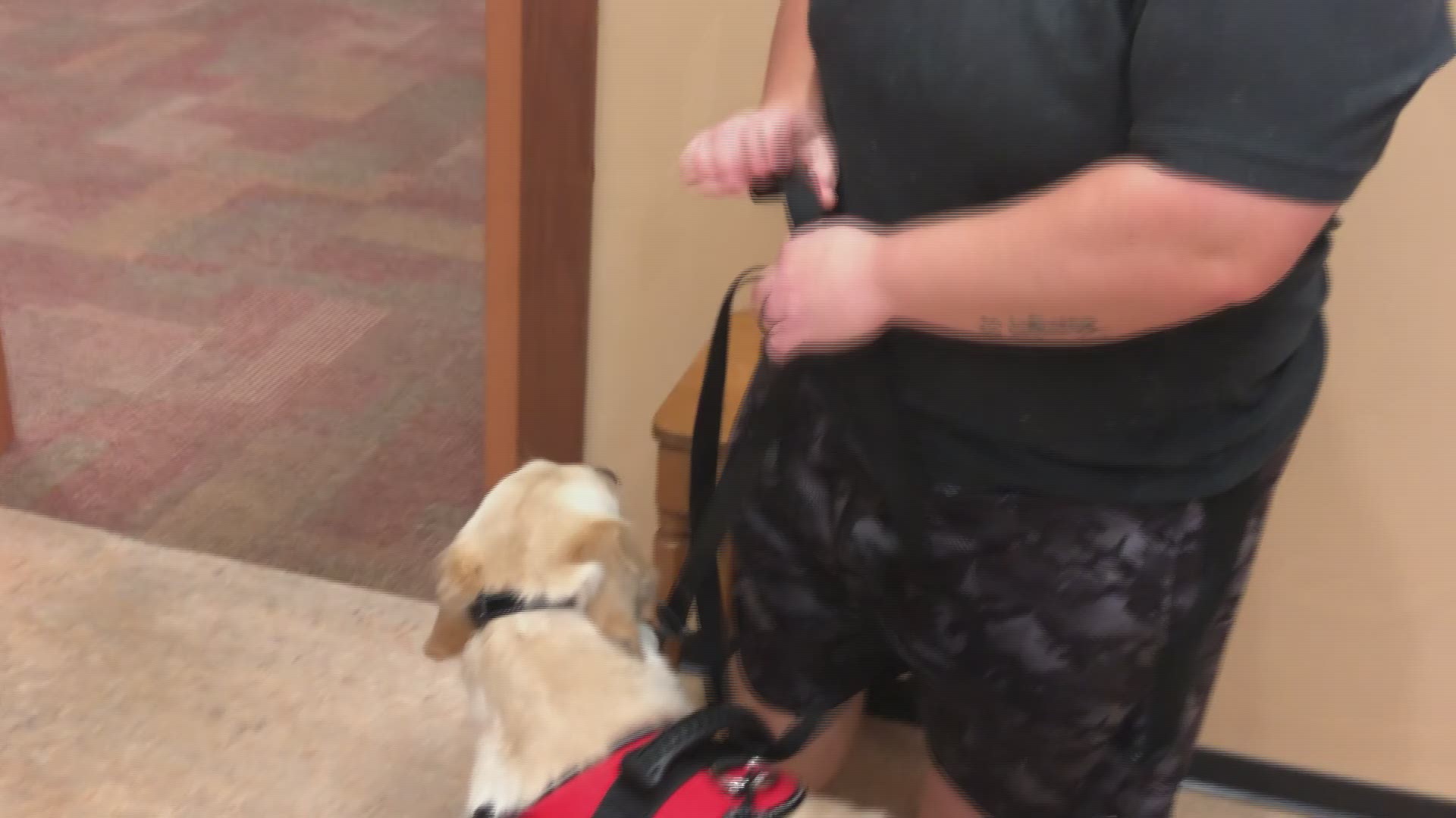 Video of Happy Hounds & Beyond instructors at Forsyth County Library.