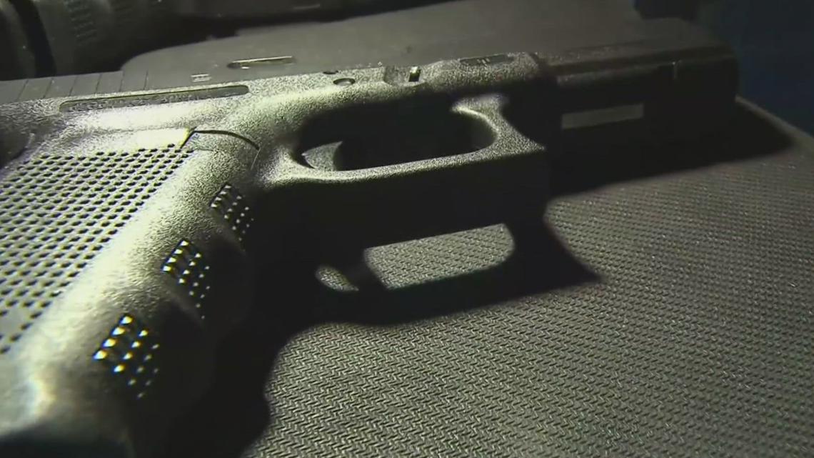 Georgia House passes gun storage, school database bills