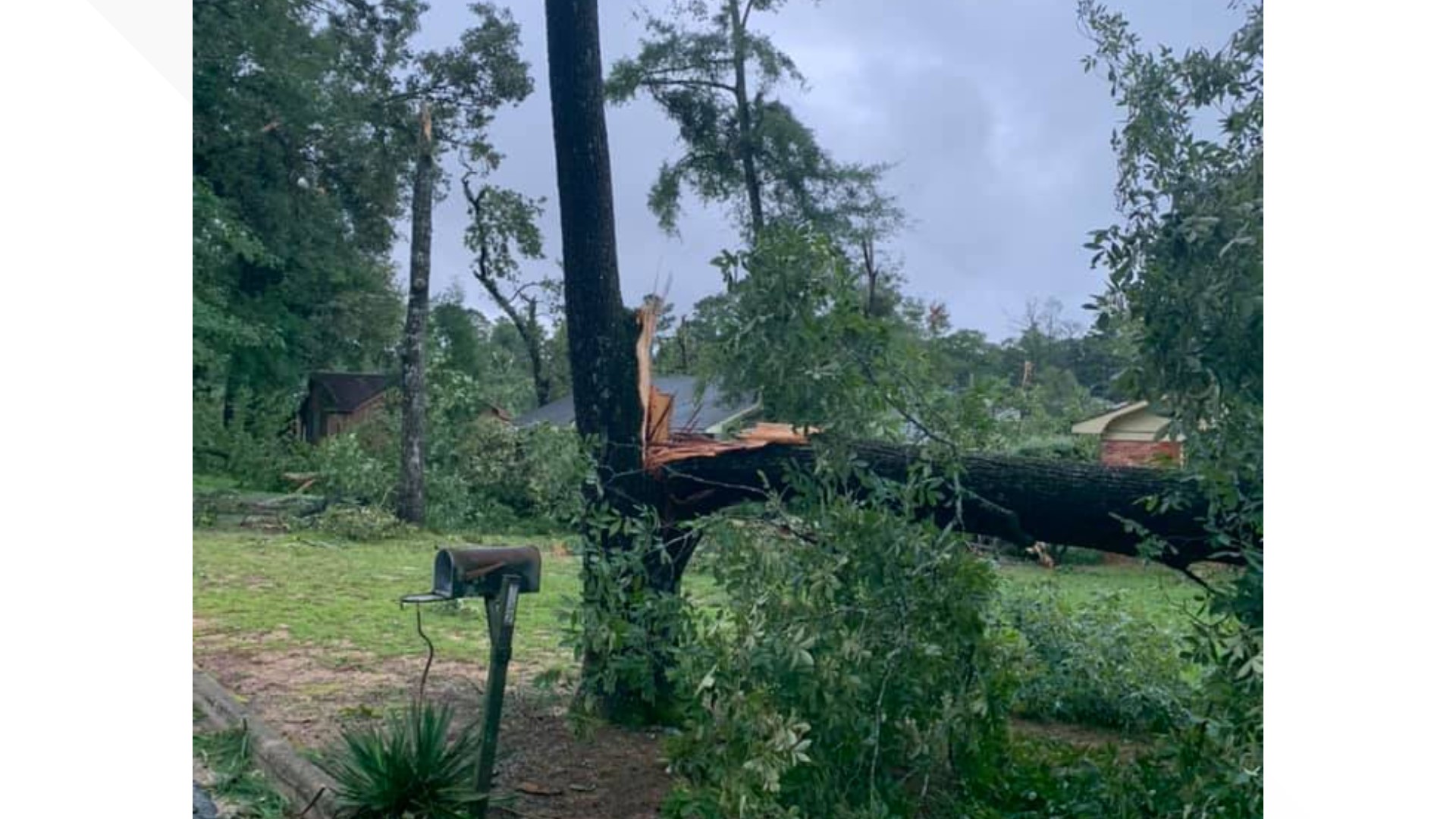 Photos Downed Trees Power Lines And Flooding Heavy Rain Severe