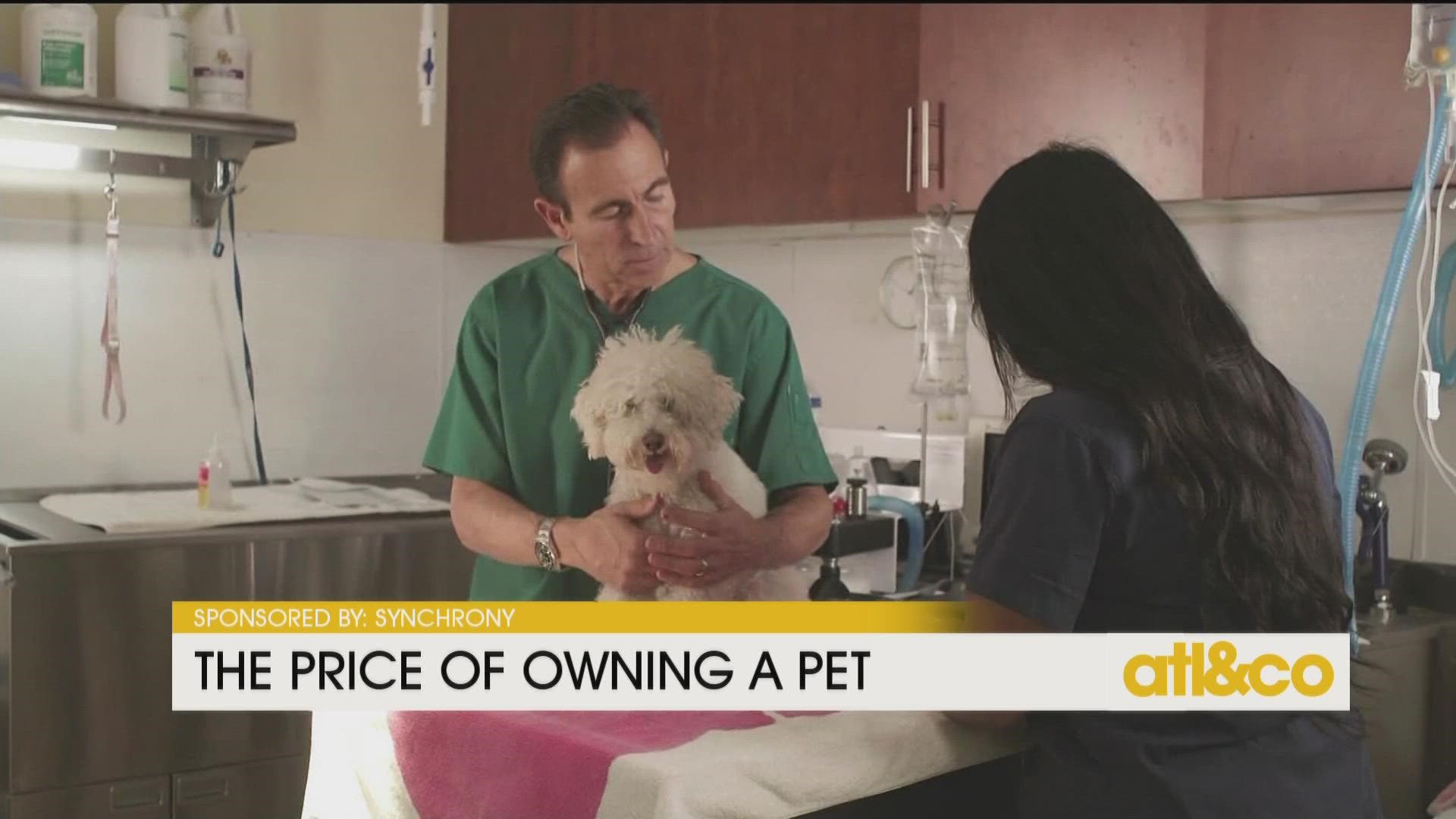 Don't underestimate the lifetime cost of pet care.