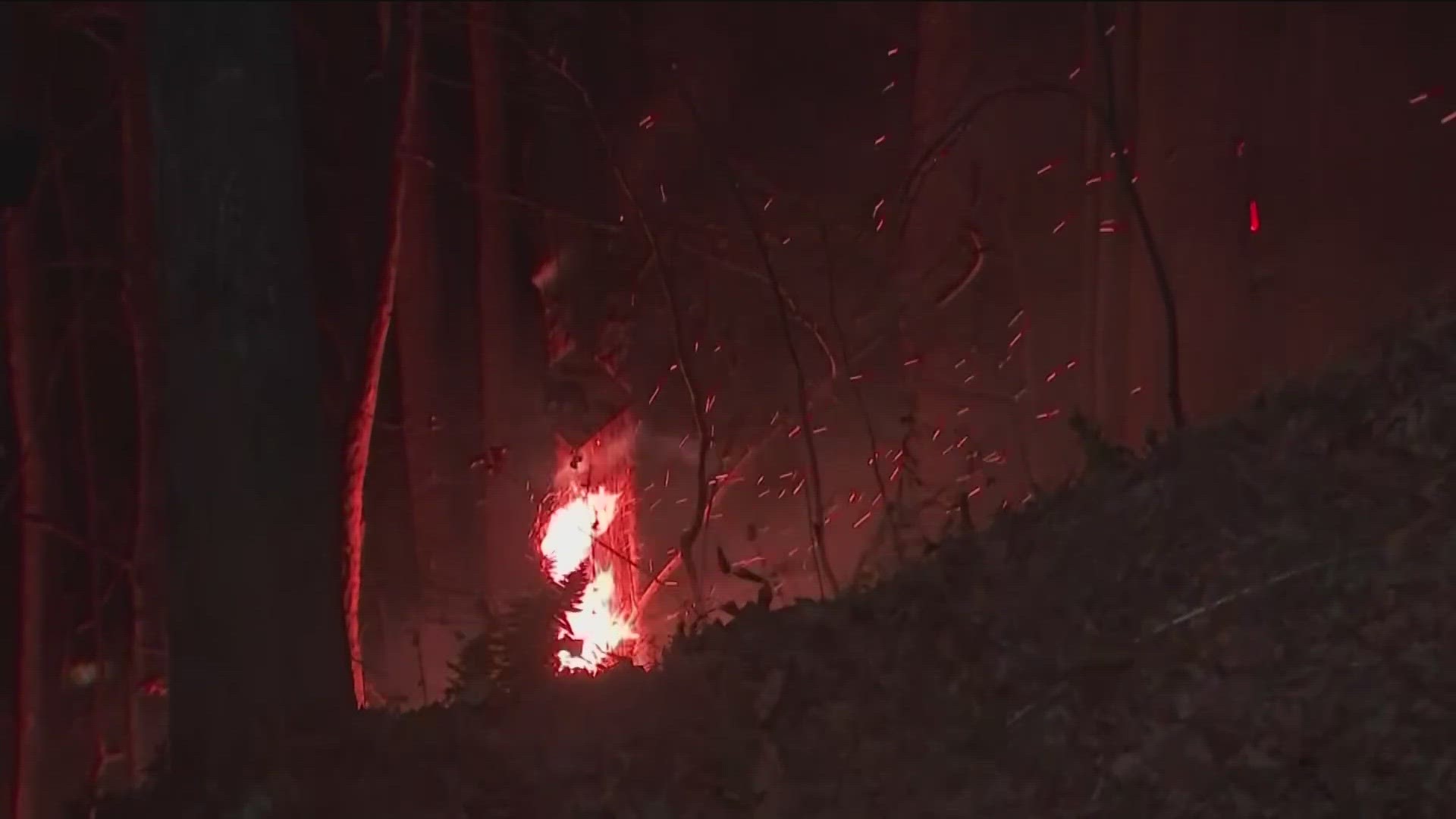 Fannin County Emergency Management Agency posted on Facebook that the fire at The Whispering Lake was contained to a ground fire.