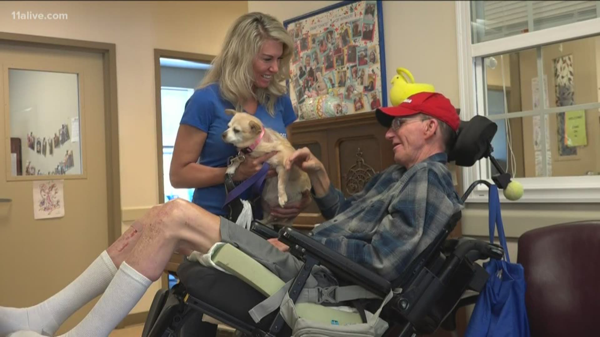 Frankie and Andy's Place takes in senior dogs abandoned by their families to give them a happy place to spend their final days.