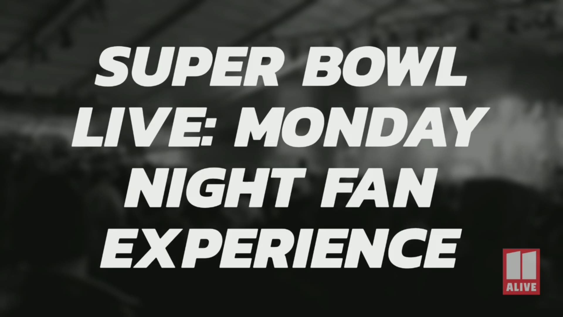 The Super Bowl Live concert had a massive turnout Monday night.