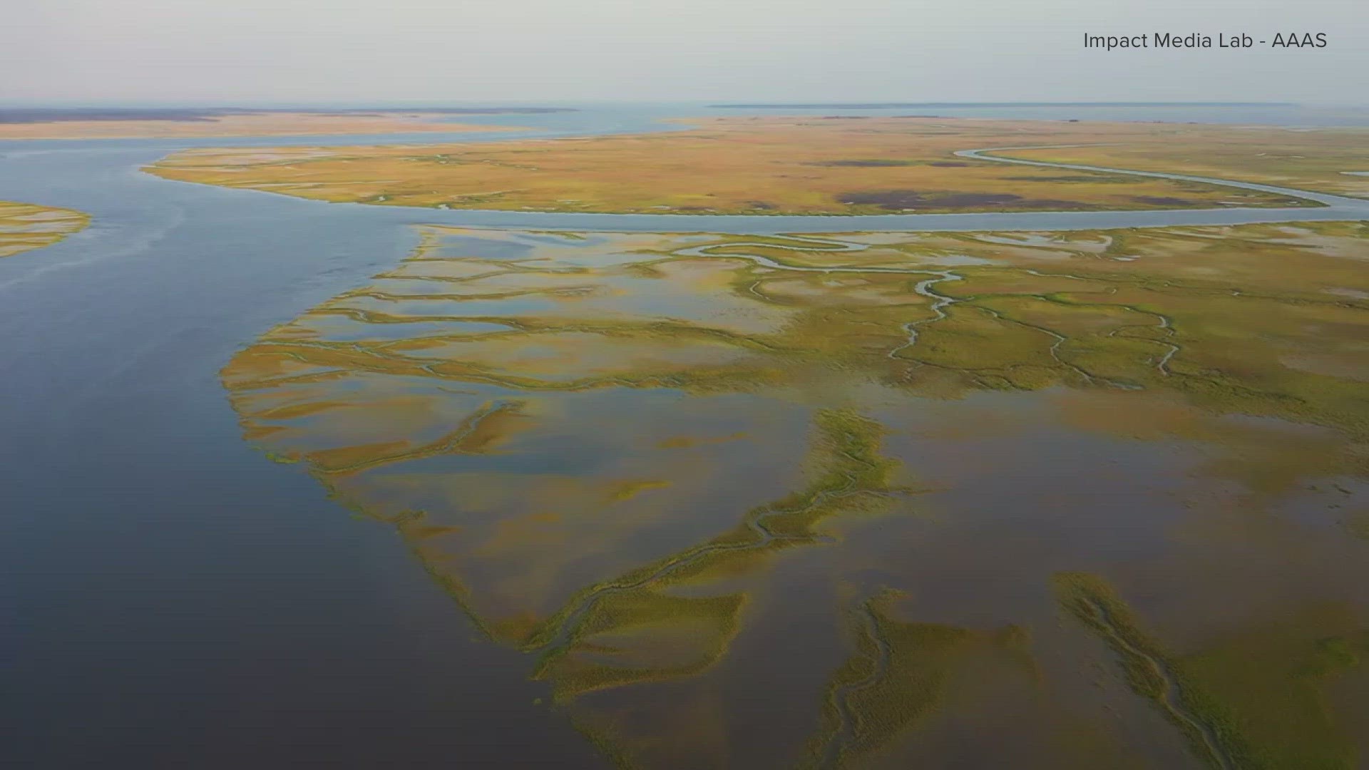 Rising seas and development near our marshes threaten their ability to protect us from storms in the future