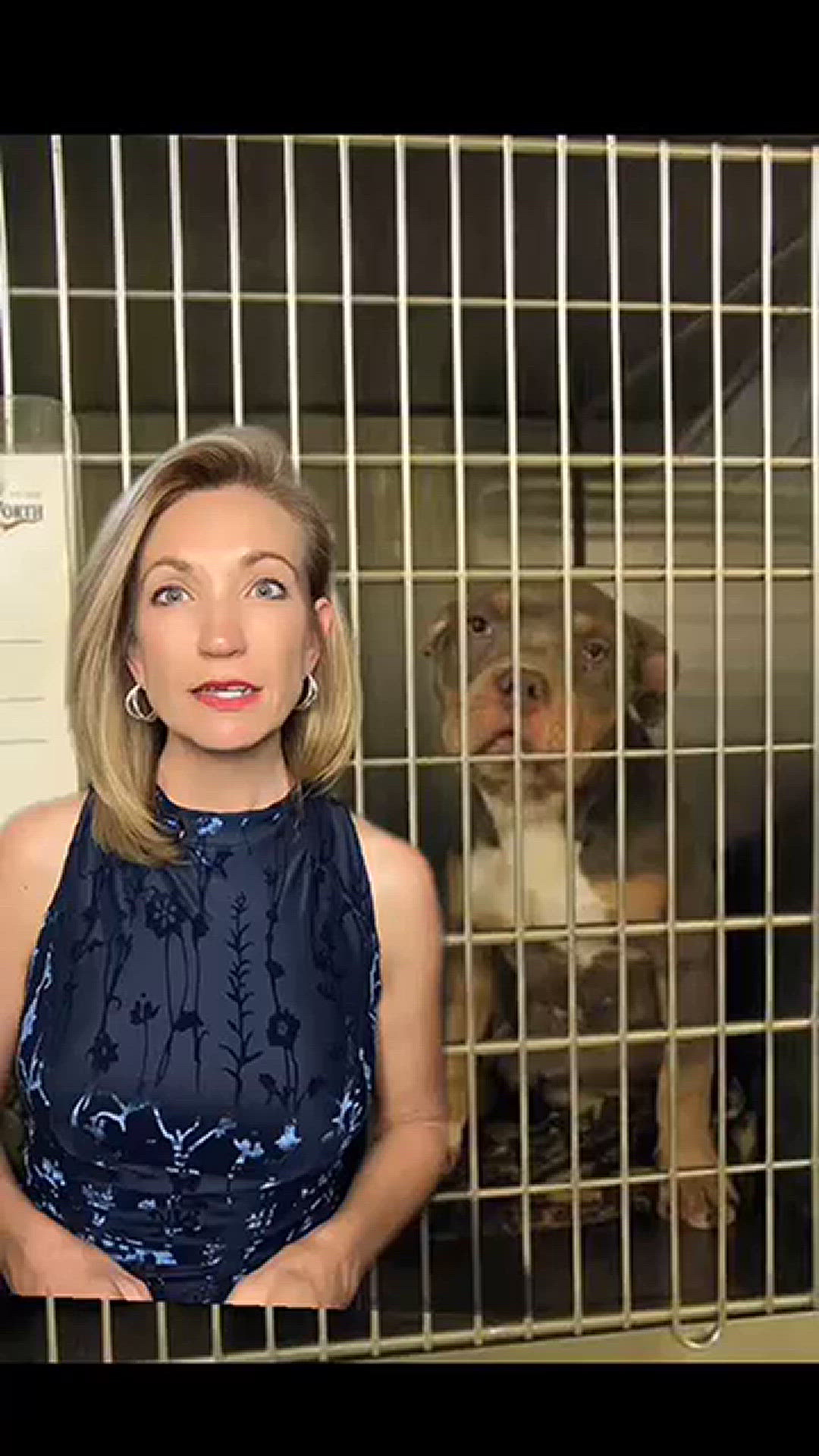 Fighting for the rights of animals at the Georgia State Capitol today: it’s Paws, Policy, and Protection 🐾❤️