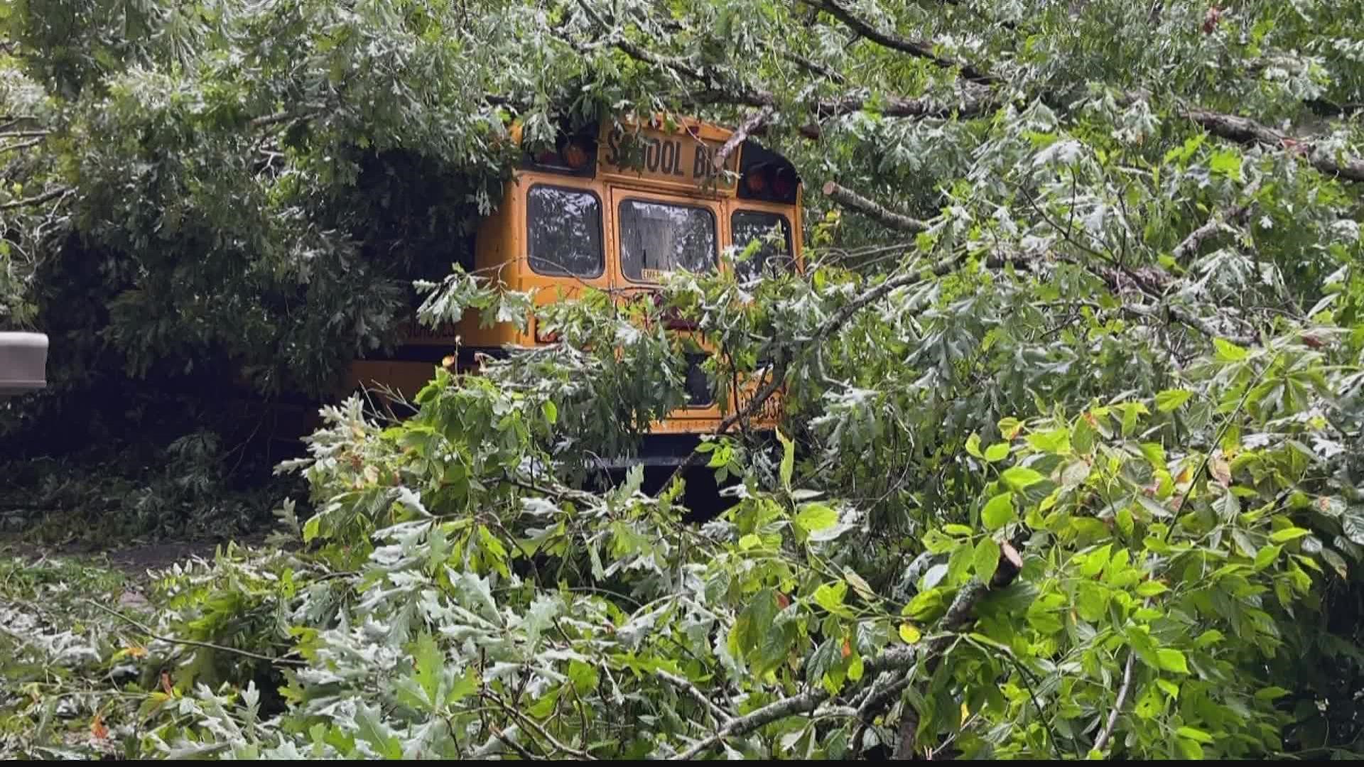 A large tree fell on a school bus this morning in southwest Atlanta, but fortunately there were no serious injuries, police said.