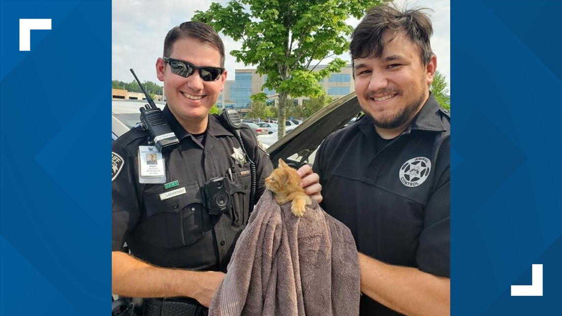 Kitten rescue in Cherokee County | 11alive.com