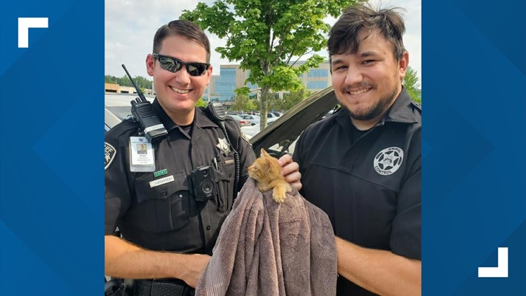 Deputy rescues kitten in Cherokee County