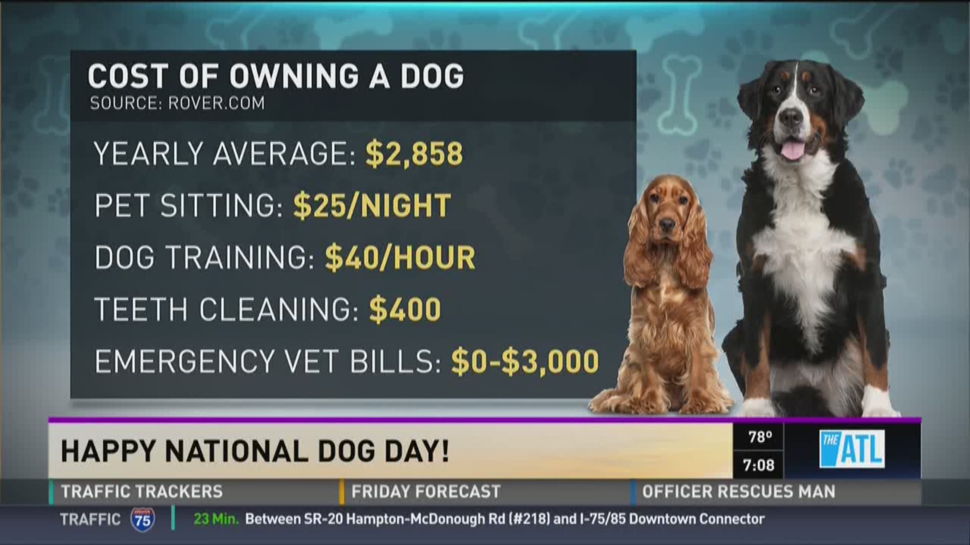 What Is The Average Cost Of Owning A Dog