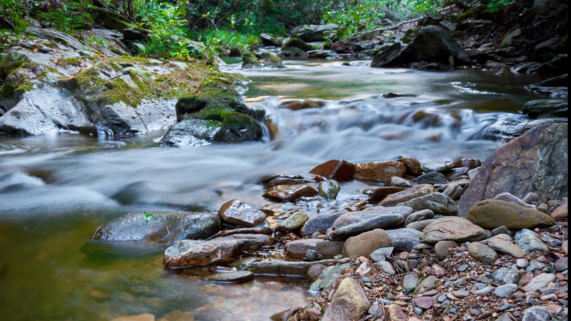 Watersheds: Why it's important to keep your local creek unpolluted ...