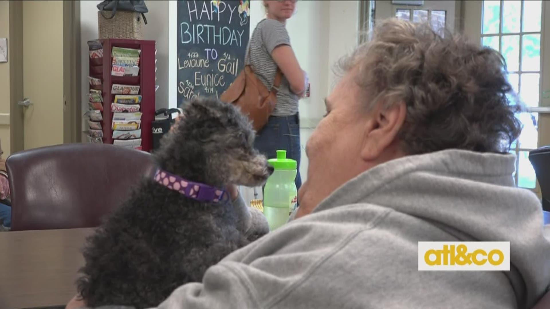 Both a senior dog shelter and emotional healing center for troubled humans! 11Alive reporter Kaitlyn Ross features "Frankie and Andy's Place" in her series K9Kait.