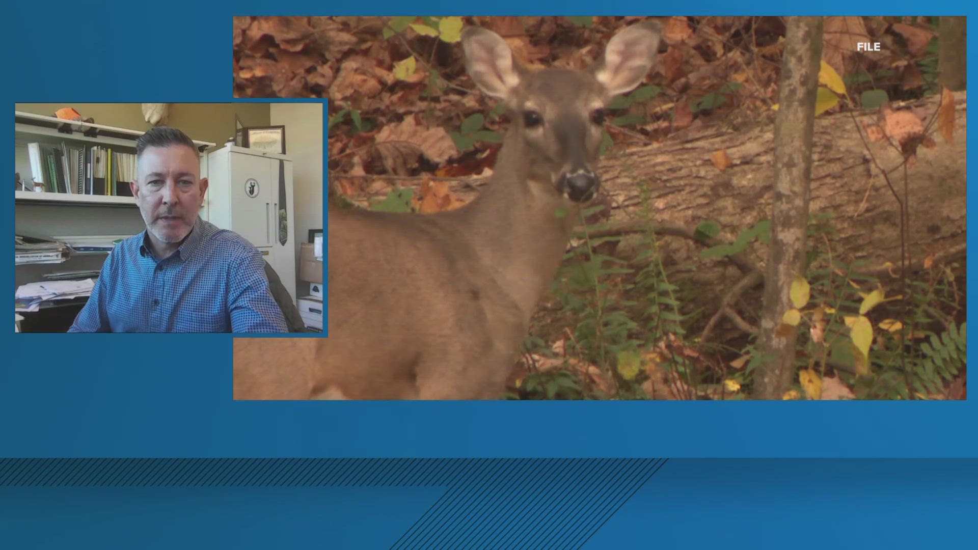 Georgia DNR Wildlife Resources Division State Deer Biologist Charlie Killmaster offers guidance on preventing vehicle-deer collisions.