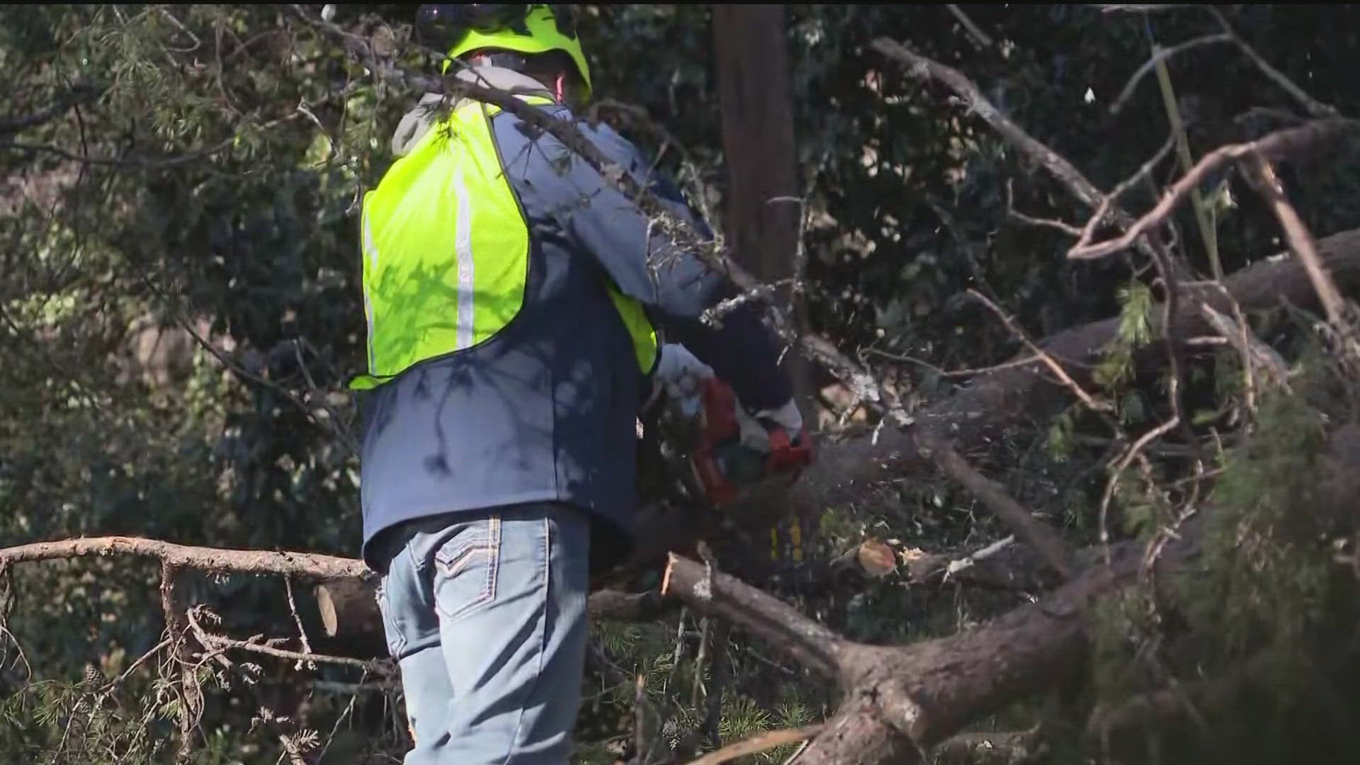 Power crews working on sawing down long trees collapsed due to ice in ...