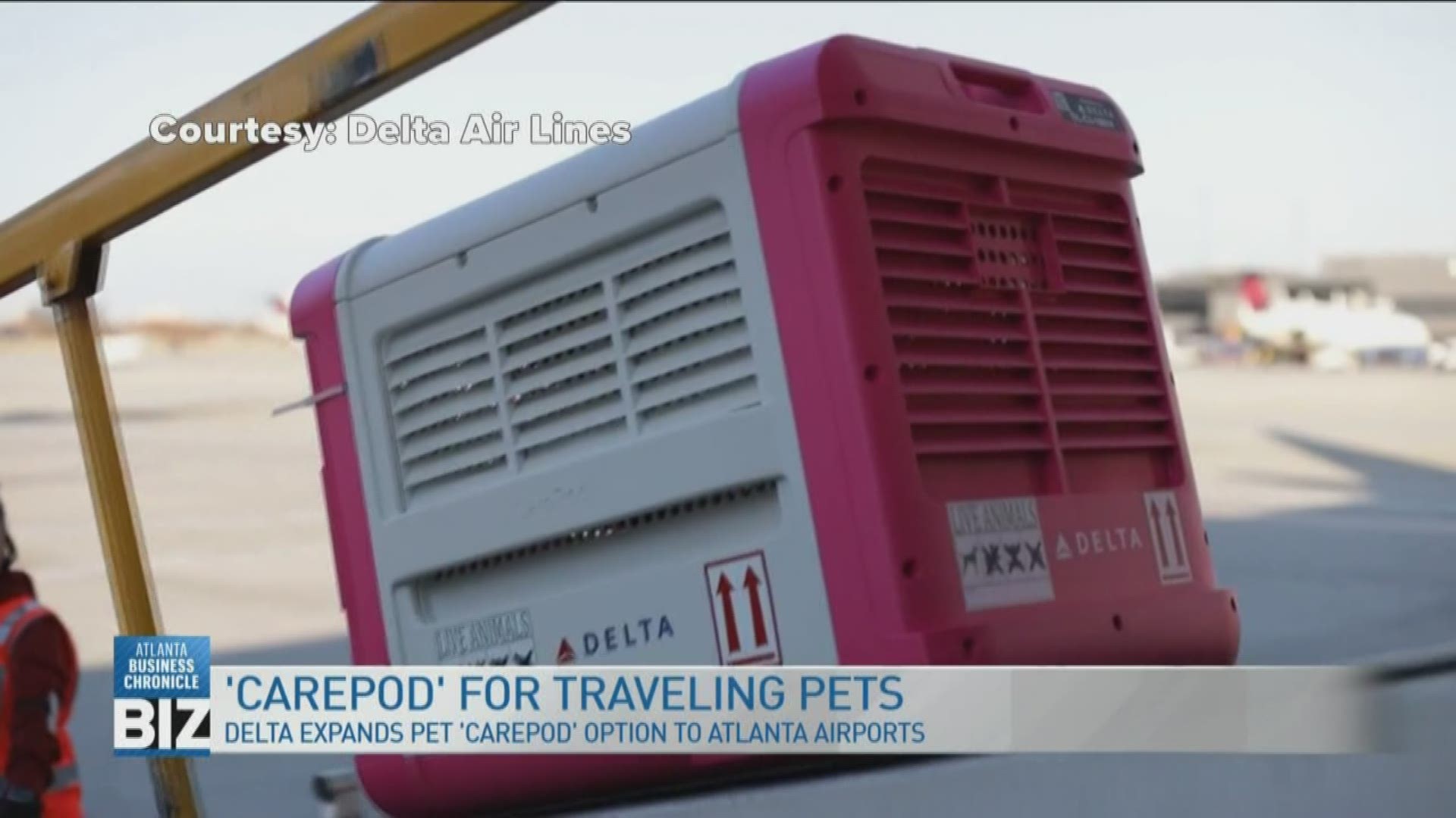 Delta Airlines expands its newest upper-class travel option (for pets!) to Hartsfield-Jackson.