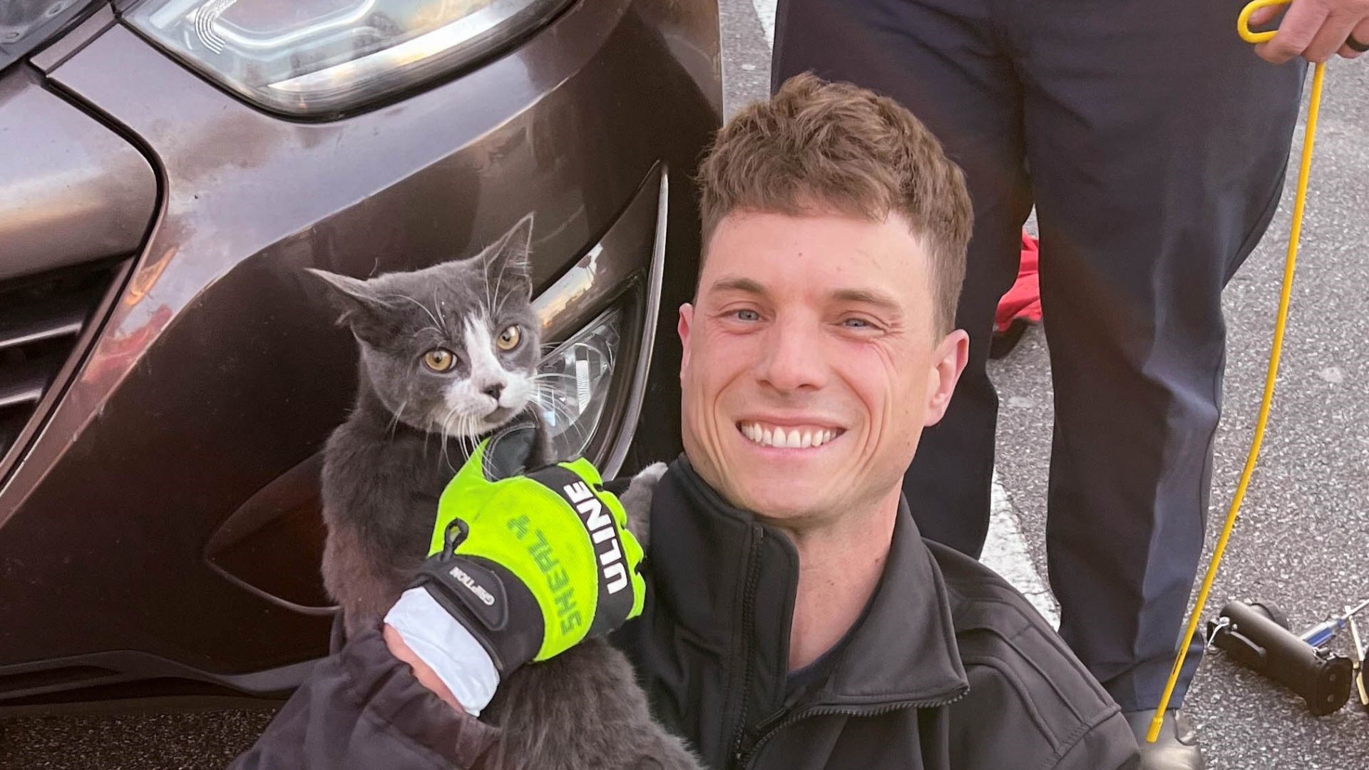 Kitty saved from car engine: Cobb Co. fire | Photos | 11alive.com