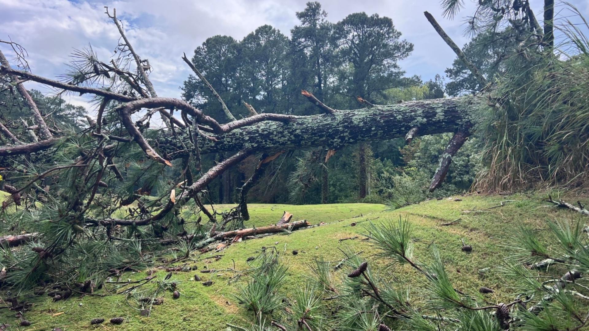 Strong storms cause damage across metro Atlanta | 11alive.com