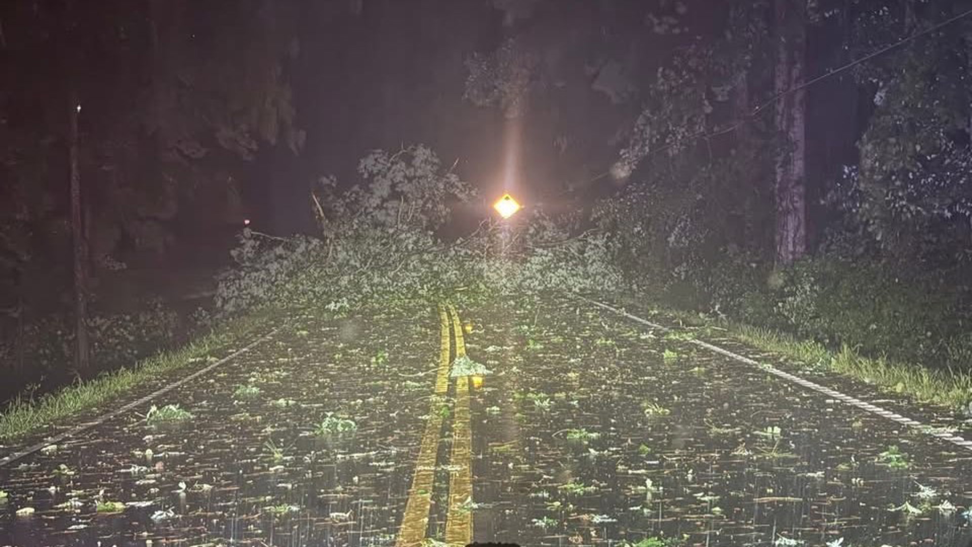 Severe storms in metro Atlanta leave behind damage | 11alive.com