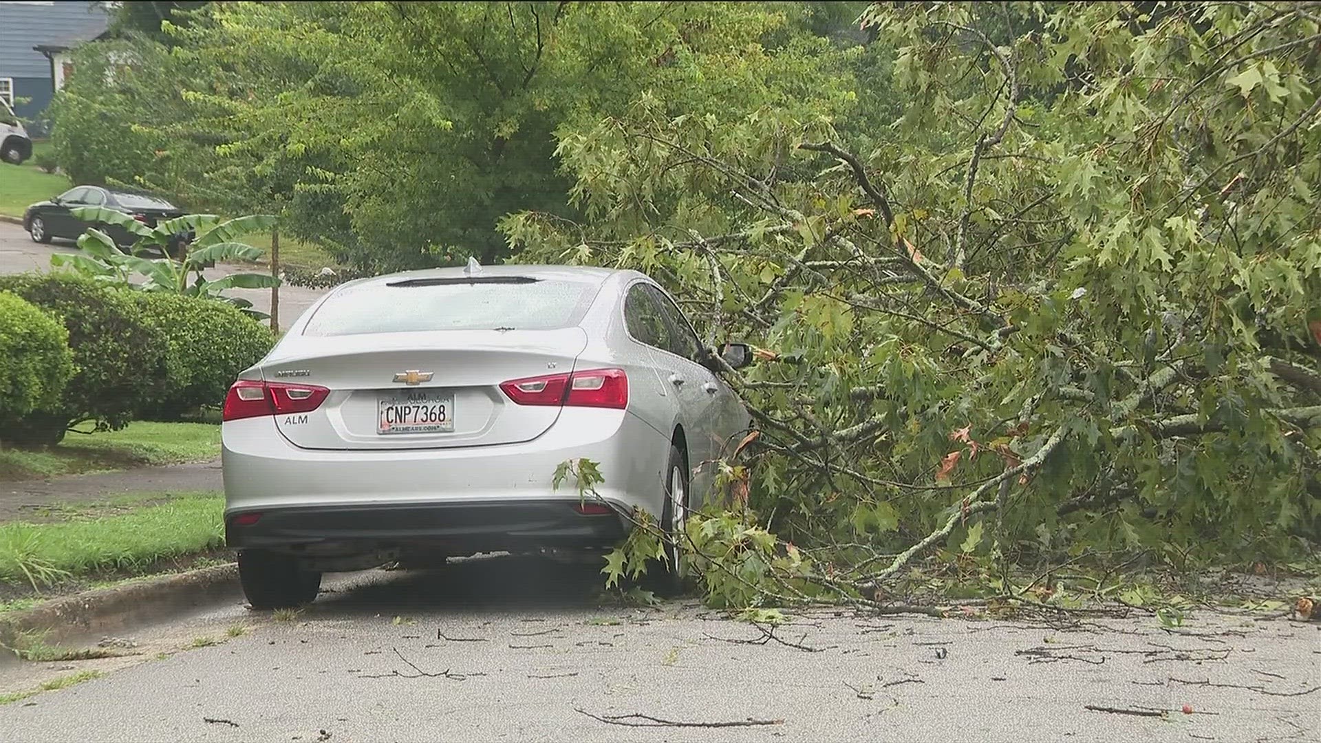 Yes, property owners are responsible for fallen trees