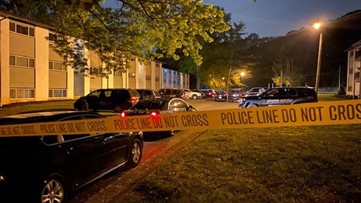 Man dead in shooting at DeKalb apartments, police say