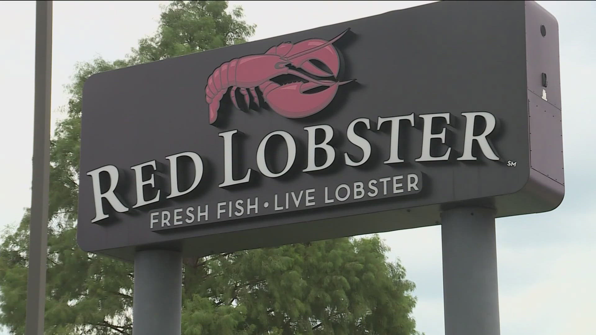 The Red Lobster closures come as bankruptcy rumors circled the seafood restaurant chain in recent weeks.