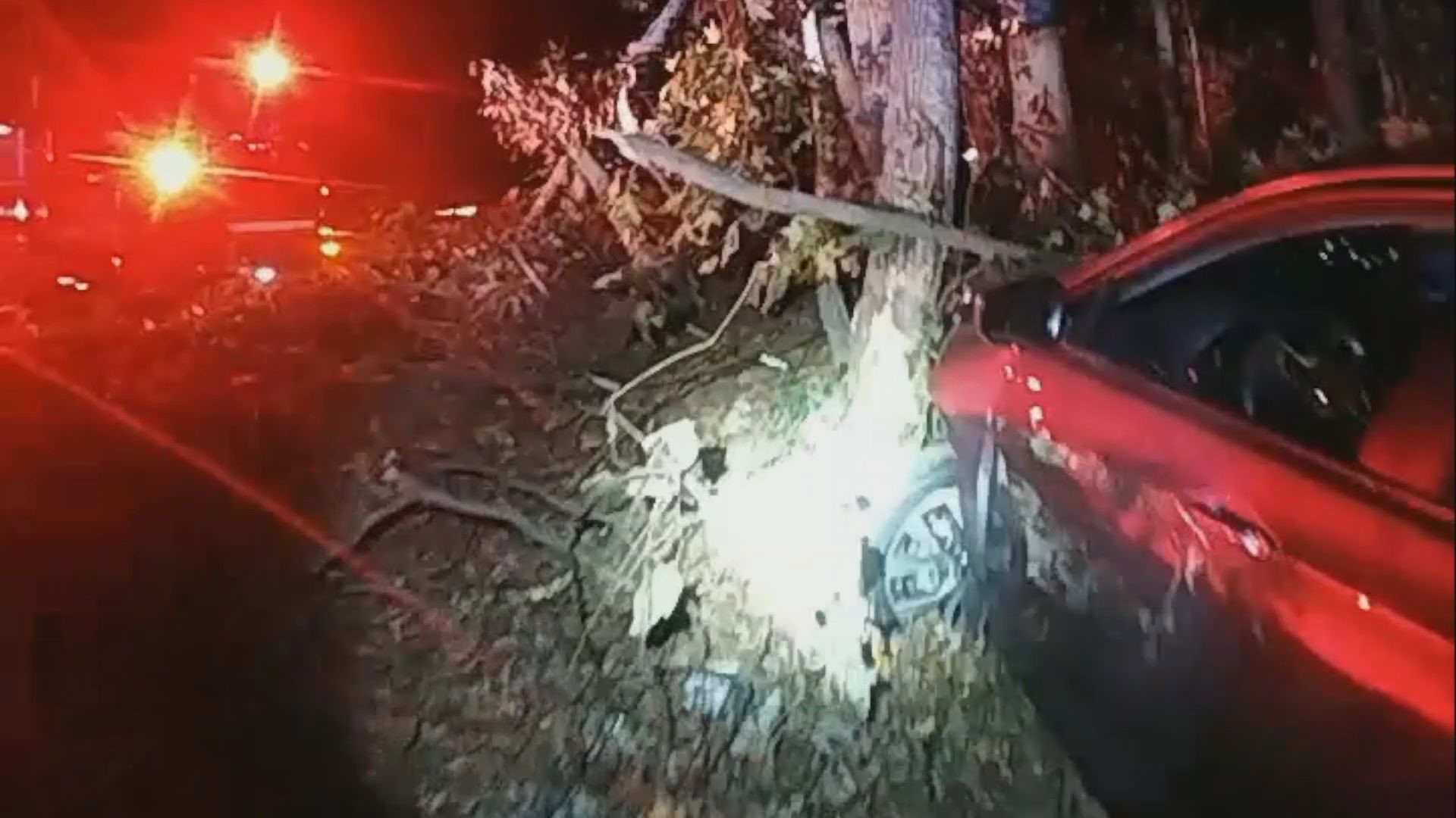 Driver trapped in car after head-on crash in DeKalb County