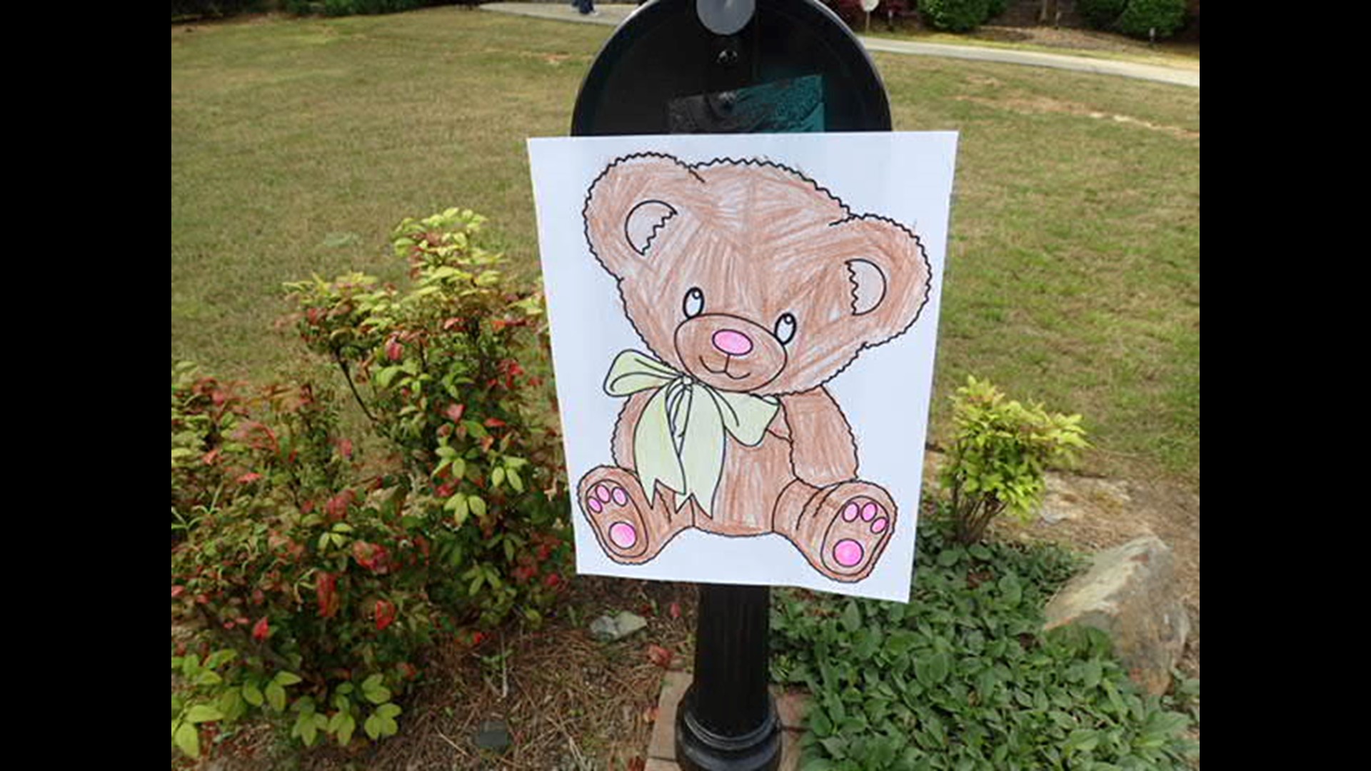 Henry Rentz didn't expect a bear scavenger hunt after his original birthday party got cancelled because of COVID-19.