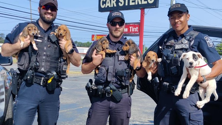 Marietta police 'Paw Patrol' rescue puppies who made a 'prison break'