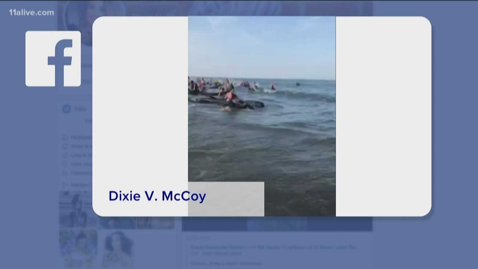 A Facebook video posted after 6 p.m. shows hundreds of beachgoers trying to push the whales back to sea.