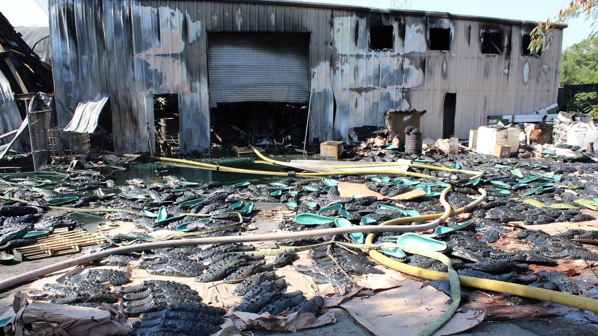 Large Cobb fire near I-285 leaves fake alligator heads stranded ...