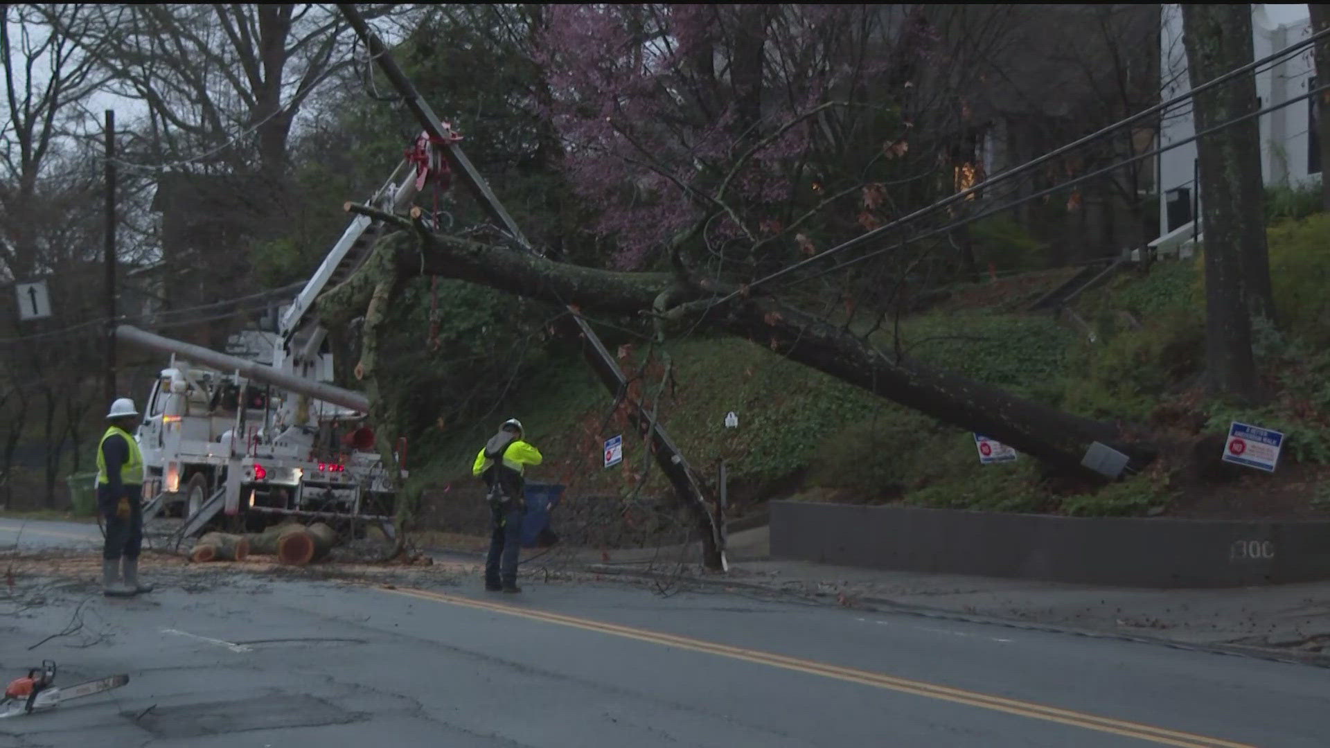 Georgia Power crews work to clear downed tree | Team weather coverage ...