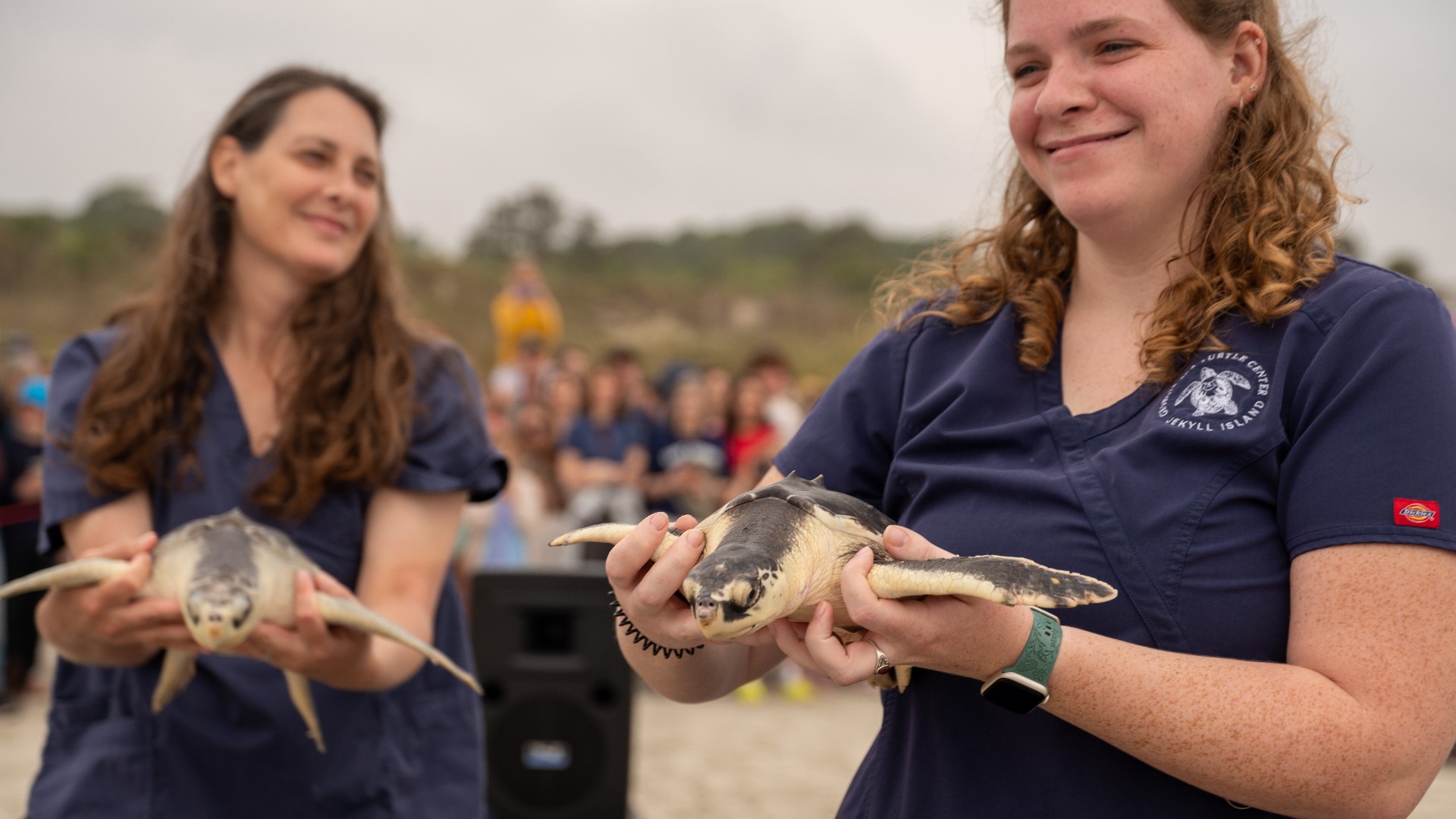 Sea turtle rescue release at Jekyll Island, Georgia | Photos | 11alive.com