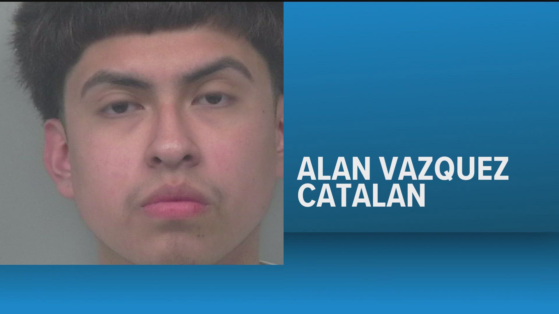 Driver loses control, killed after crashing into tree while street ...