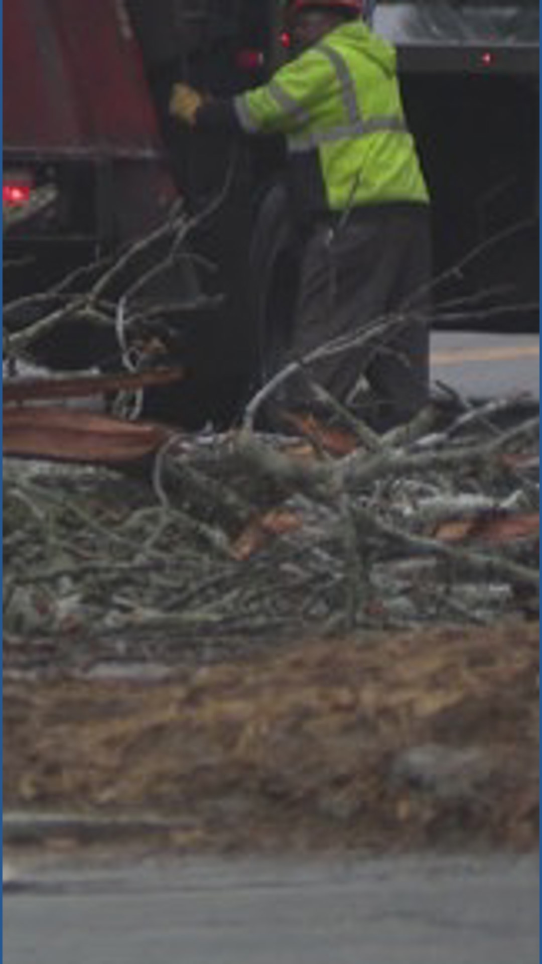 Downed tree in NW Atlanta | 11alive.com