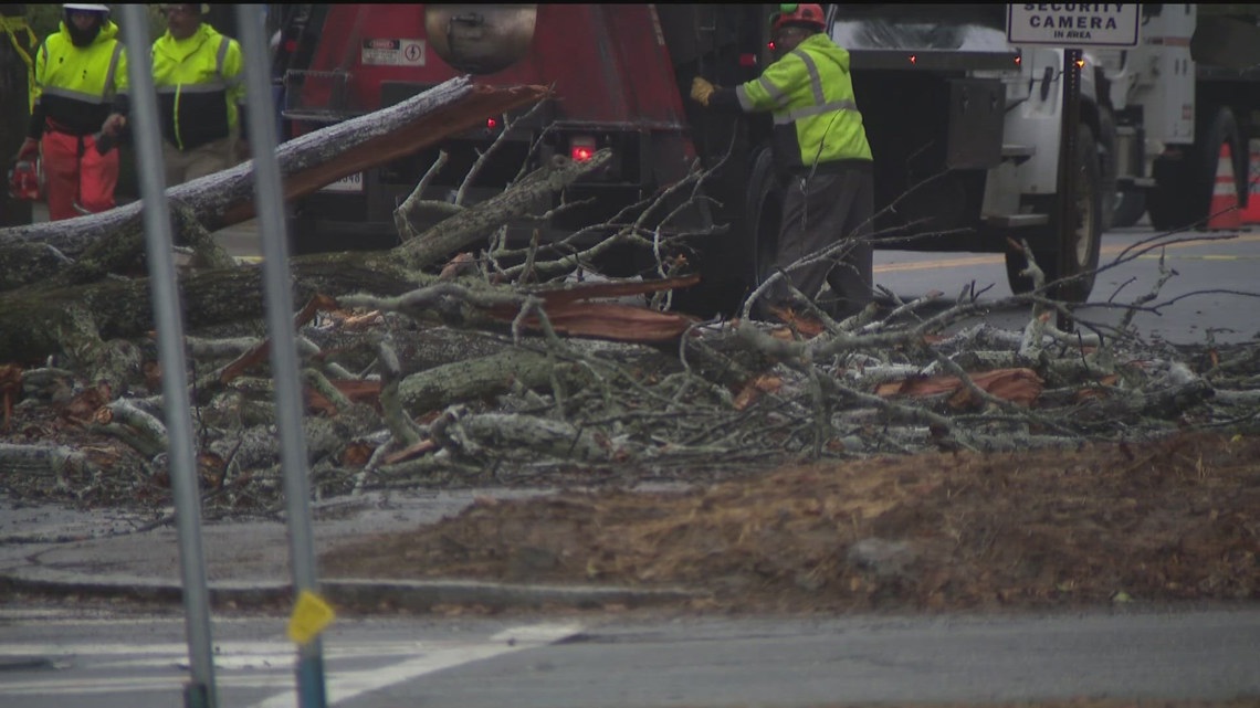 Downed tree in NW Atlanta | 11alive.com
